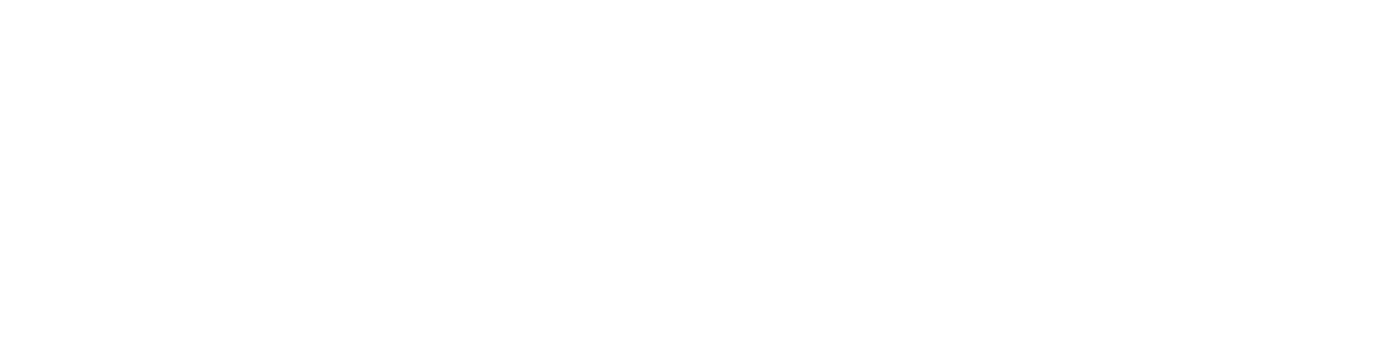 QuintPro Logo Horizontal